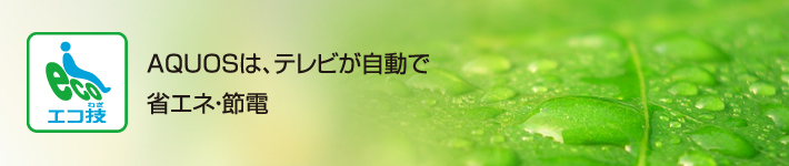 AQUOS�́A�e���r�������ŏȃG�l�E�ߓd