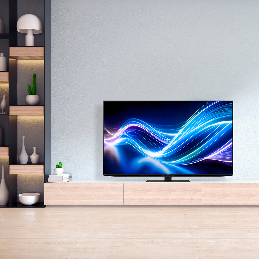 4K液晶テレビ:65V型4T-C65GN1:シーン画像