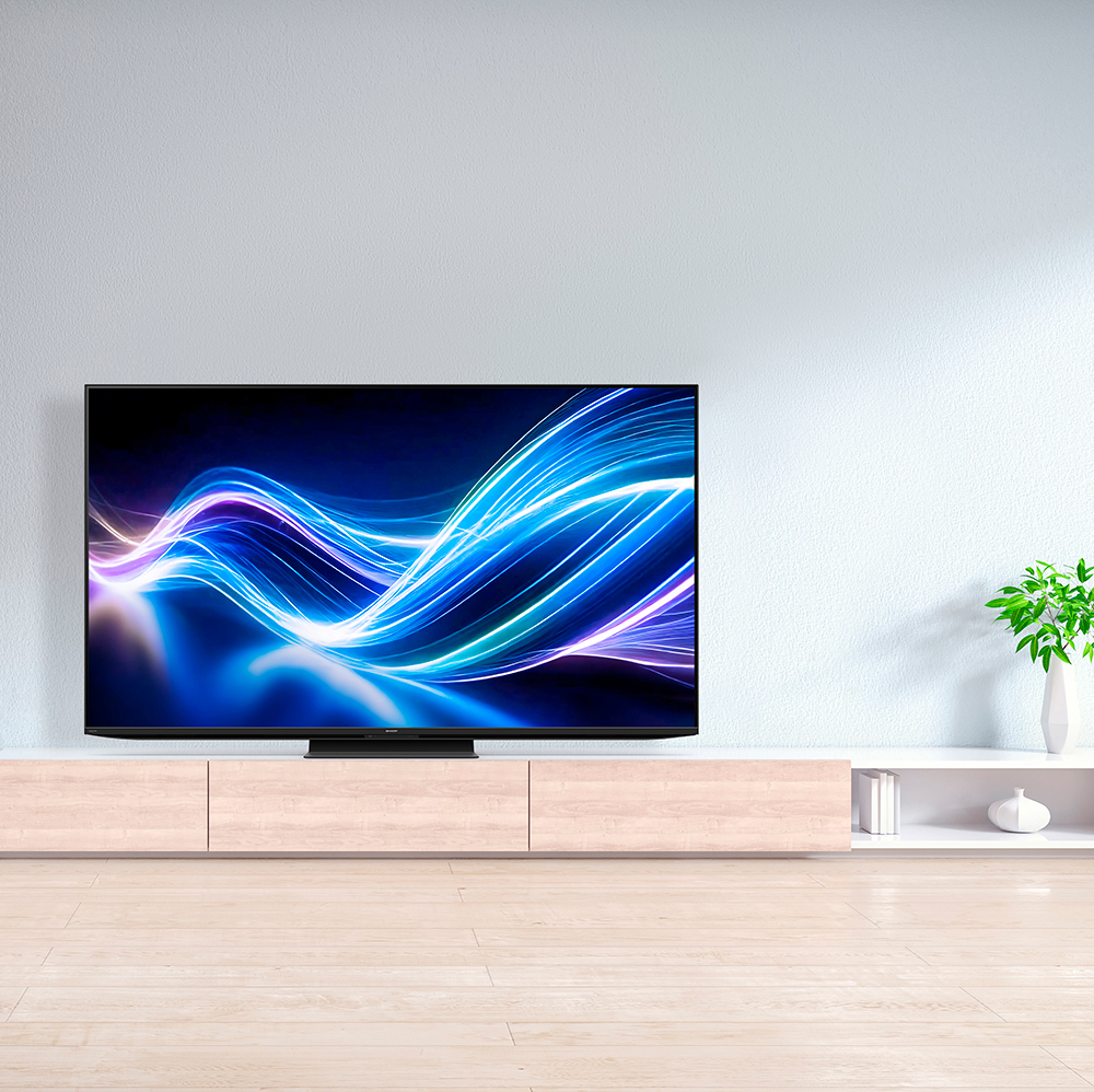 4K液晶テレビ:75V型4T-C75GN1:シーン画像