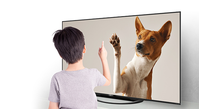 画面に映る犬の映像を指差す少年