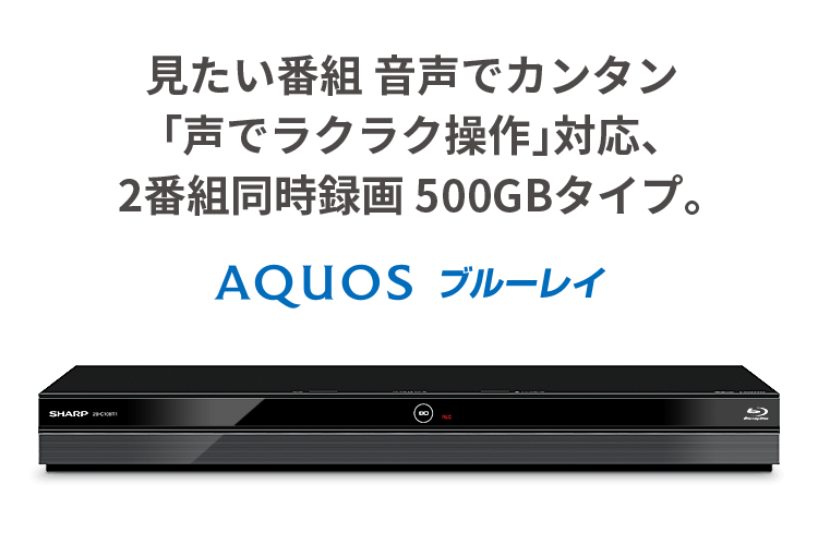 見たい番組 音声でカンタン「声でラクラク操作」対応、2番組同時録画 500GBタイプ。
