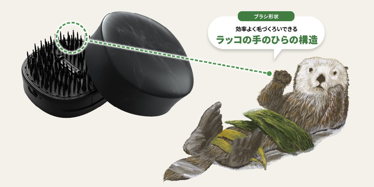 ブラシ形状には、効率よく毛づくろいできるラッコの手のひらの構造が採用されています