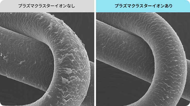 プラズマクラスターイオンなし／プラズマクラスターイオンあり