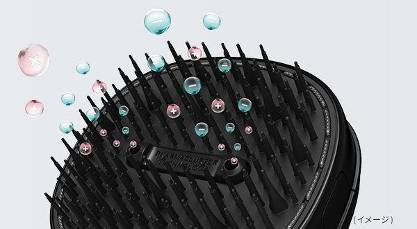 ブラシとイオン