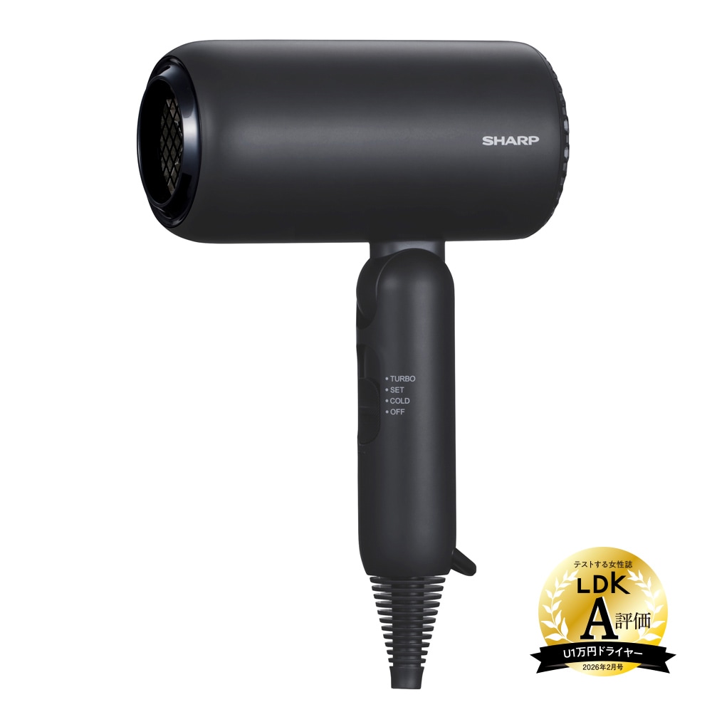 ディンプルフロードライヤーIB-P300ブラック系斜め