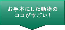お手本にした動物のココがすごい