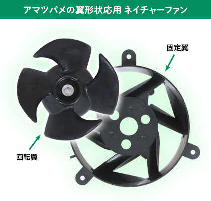 アマツバメの翼形状応用 ネイチャーファン