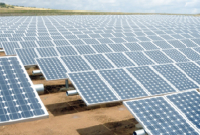 アリゾナパブリックサービス社さま(アメリカ・アリゾナ州)