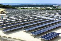 株式会社パームロイヤルさま（沖縄県那覇市）