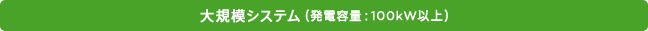 大規模システム（発電容量：100kW以上）