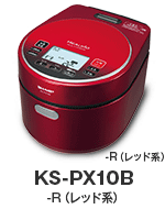 KS-PX10B