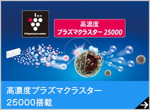 高濃度プラズマクラスター25000