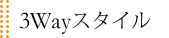 3Way�X�^�C��