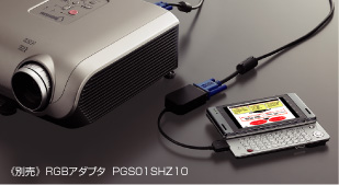 �s�ʔ��t RGB�A�_�v�^  PGS01SHZ10