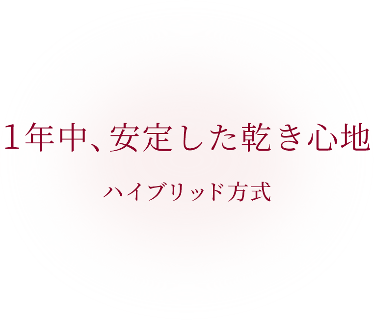 ハイブリッドシステム 1年中、安定した乾き心地