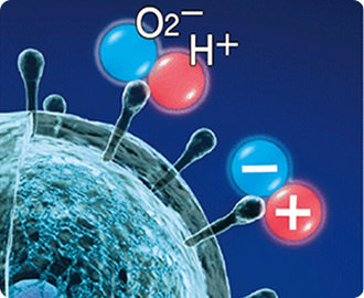 浮遊ウイルスに作用イメージ