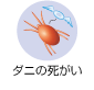 ダニの死がい