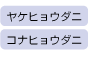 ヤケヒョウダニ・コナヒョウダニ