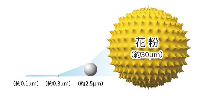粒子の大きさイメージ、花粉は約30マイクロメートル