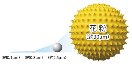 粒子の大きさイメージ、花粉は約30マイクロメートル