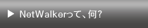 NetWalker���āA���H