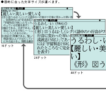 5�̕����T�C�Y