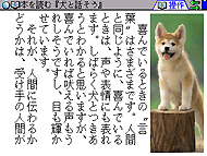 ��ʃC���[�W