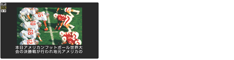 ���������̎�����\��