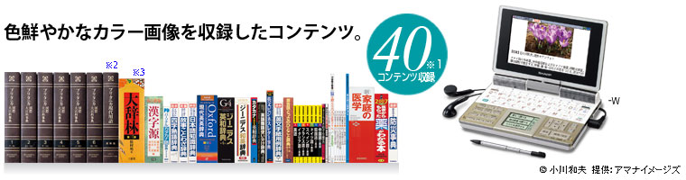 �F�N�₩�ȃJ���[�摜�����^�����R���e���c�B