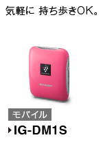 IG-DM1S