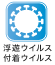 浮遊ウイルス／付着ウイルス