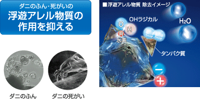 �_�j�̂ӂ�E�������̕��V�A���������𕪉��E����