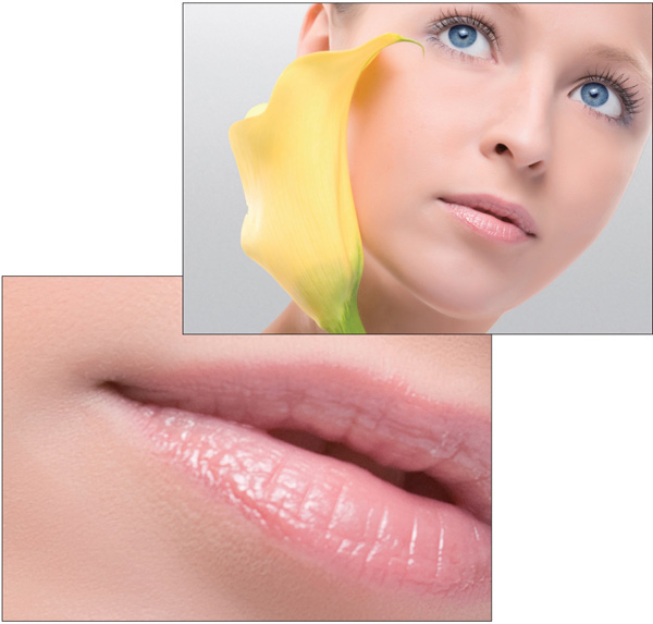 1200dpiのプリント出力＆MycrosトナーHG(R)採用。