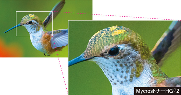 表現力を高めるMycrosトナーHG® 2