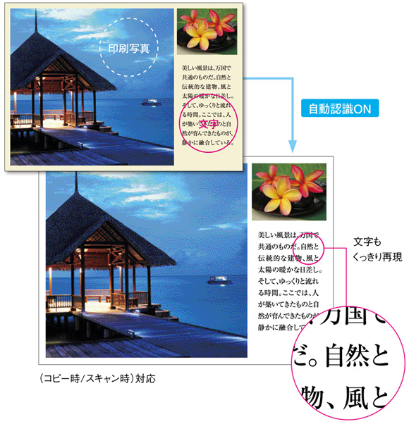 原稿種別を自動認識するマジカルビュー®III