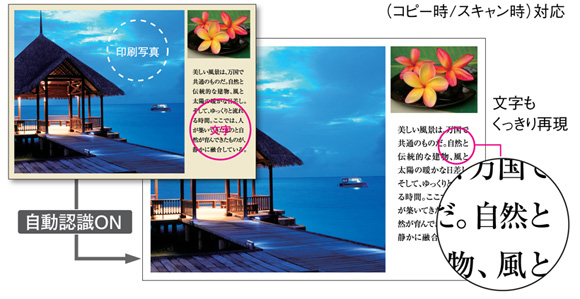 原稿種別を自動認識するマジカルビュー®III