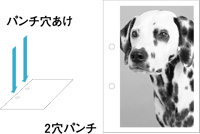 パンチユニット