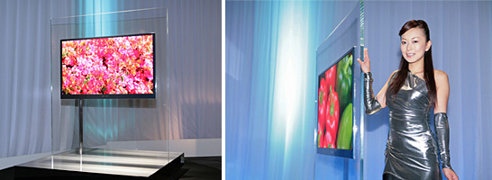 �ʐ^: �V�J���t���f�B�X�v���C�i����@�E52V�^�j