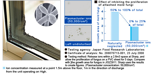 Suppresses the growth of attached mold fungi 