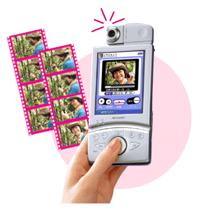 �J�����J�[�h�ŎB�e���ē��悪�����