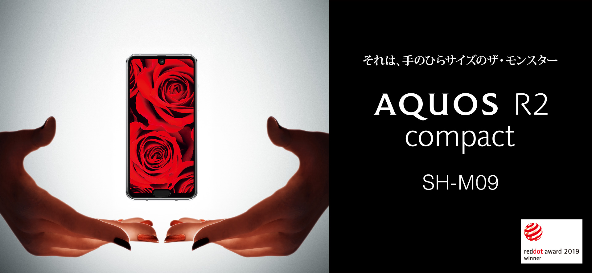AQUOS R2 compact SH-M09