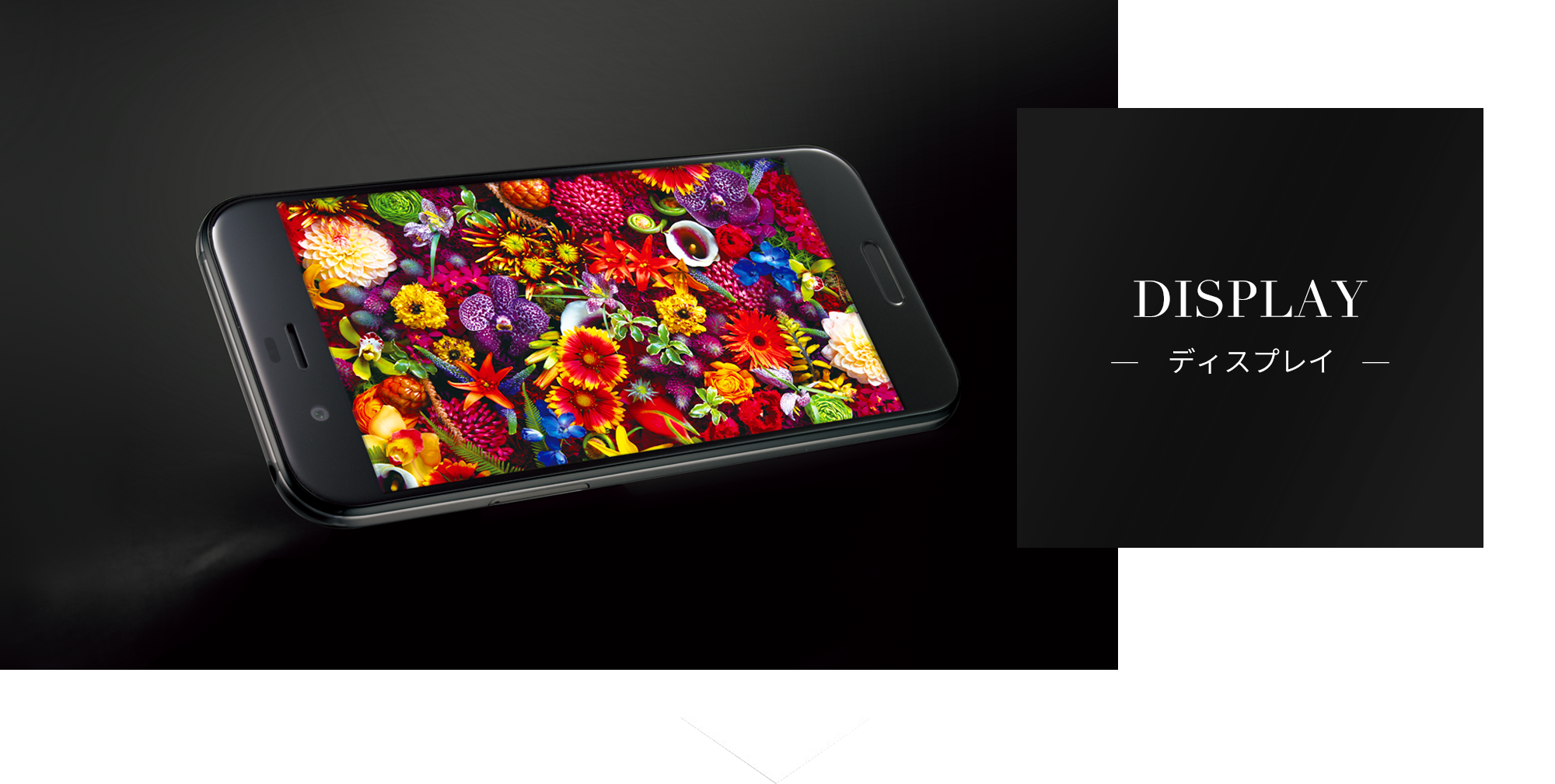 ディスプレイ