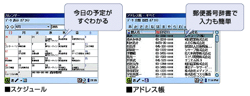 �X�P�W���[��/�A�h���X�� ���