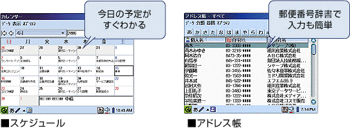 �X�P�W���[��/�A�h���X�� ���