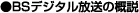 BS�f�W�^�������̊T��