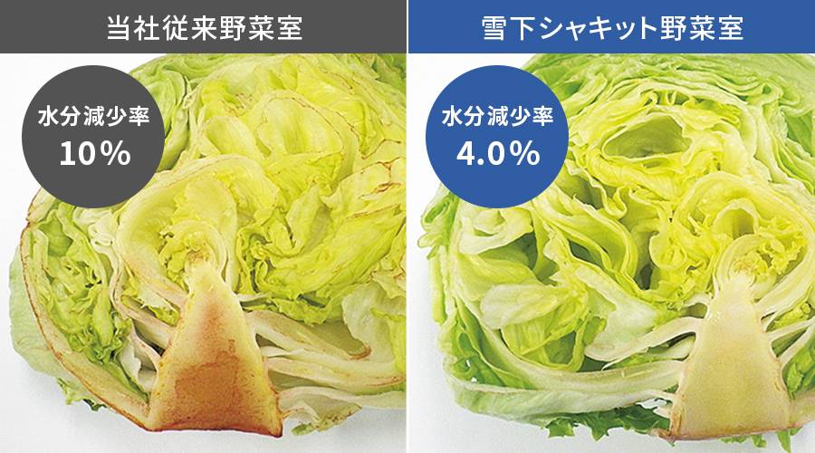 従来野菜室と雪下シャキット野菜室で1週間保存したレタスの比較写真。従来野菜室は水分が10%減少しているが、雪下シャキット野菜室は4%に抑えられている。