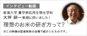 新しいウィンドウで開きます：[動画] 理想のお米の研ぎ方って？（新潟大学 大坪教授へのインタビュー）