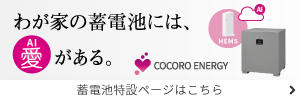 蓄電池特設ページはこちら