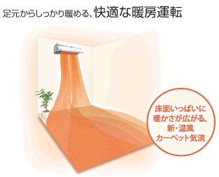 �V�E�����J�[�y�b�g�C��