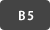 B5